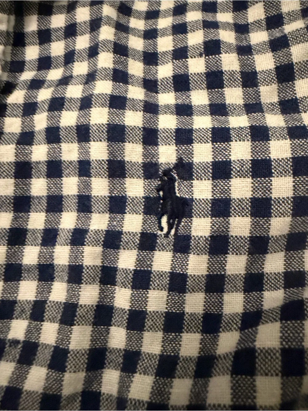 Boys Ralph Lauren Blue Gingham Button-Down Shirt